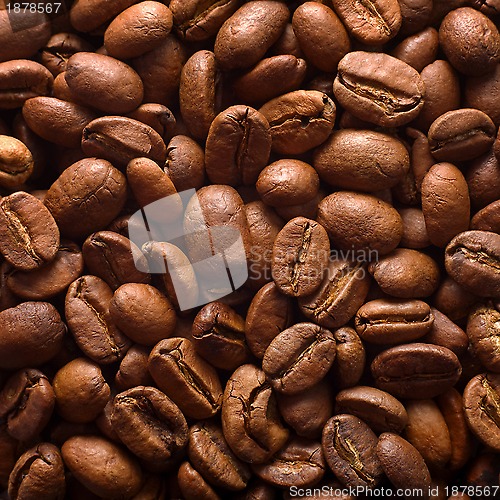 Image of Coffee background