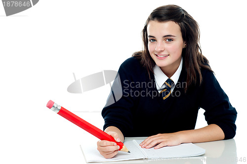 Image of Confident school girl is ready to take up the test