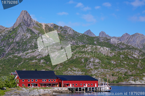 Image of Fishing harbor