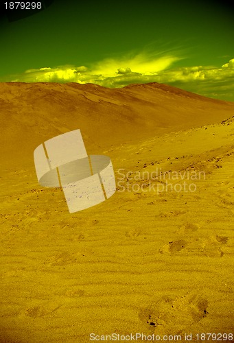 Image of The Egyptian desert