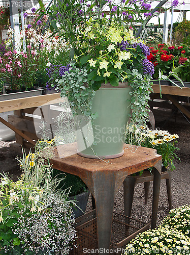 Image of Colorful flowers and plants in a greenhouse