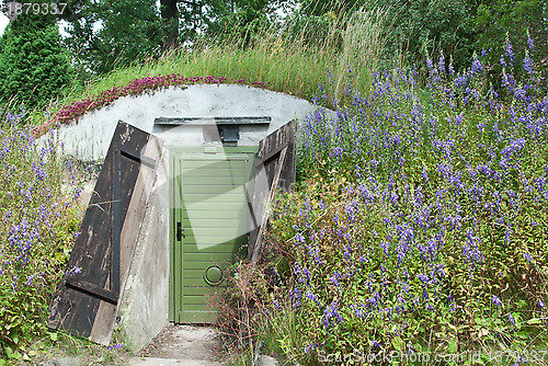 Image of Underground dwelling under a blooming hill