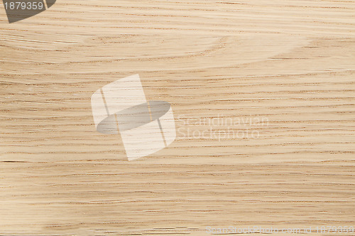 Image of Wood Texture Background