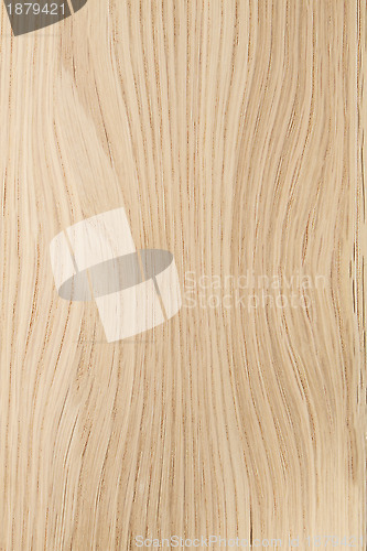 Image of Wood Texture Background