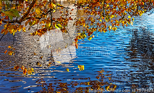 Image of Canal in Autumn