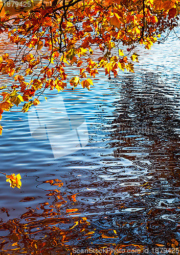 Image of Canal in Autumn