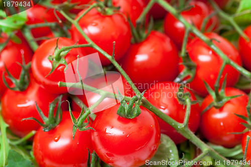 Image of Background of Ripe Cherry Tomatoes