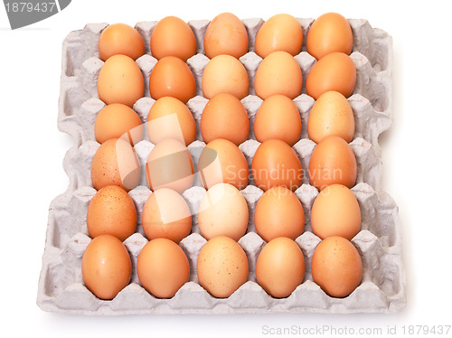 Image of Fresh Brown Eggs in Carton