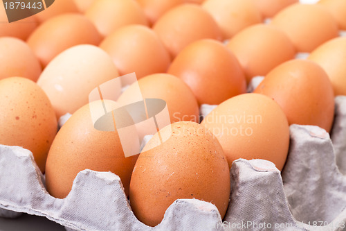 Image of Fresh Brown Eggs in Carton