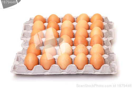Image of Fresh Brown Eggs in Carton