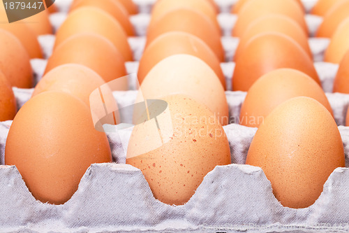 Image of Fresh Brown Eggs in Carton