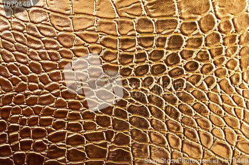 Image of Tint Golden Crocodile Skin Texture