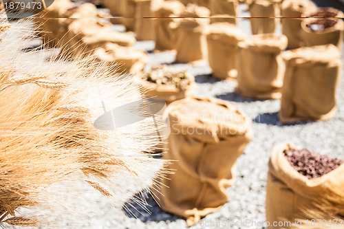 Image of Ripe Summer Wheat