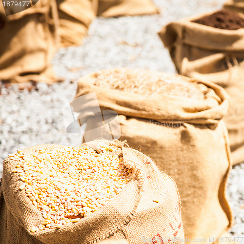 Image of Ripe Summer Wheat