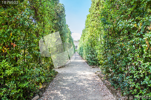 Image of Boboli Gardens