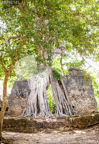 Image of Gede Ruins