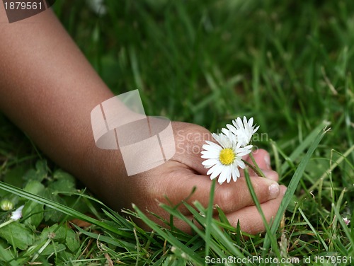 Image of flower child