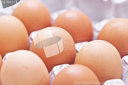 Image of Eggs arrange in a box