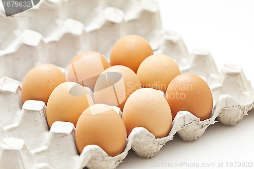 Image of Eggs pack in a box