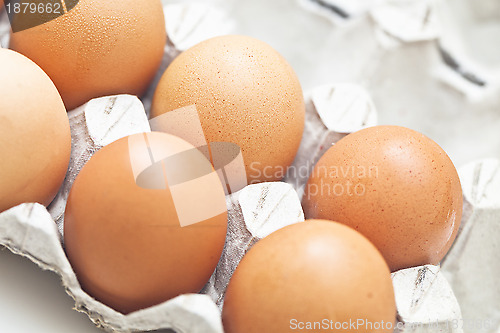 Image of Eggs in a box