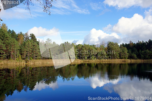 Image of Landscape 