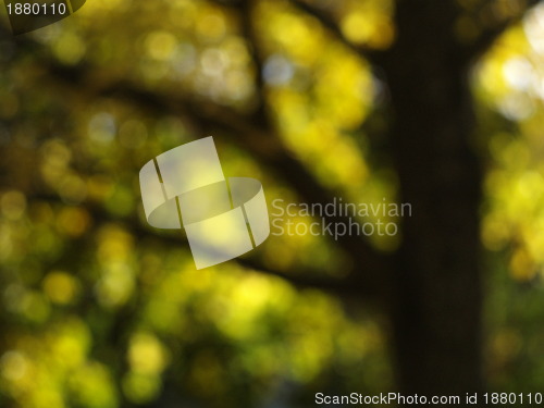 Image of bokeh