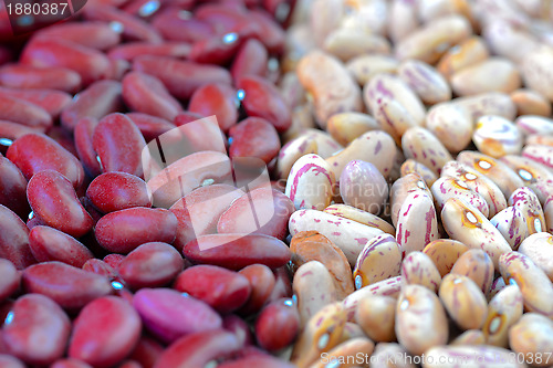 Image of Close-up dry white and red beans on natural light