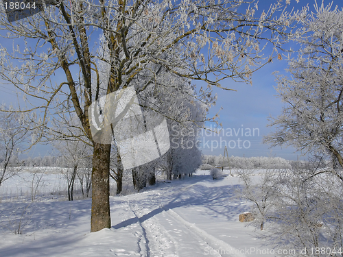 Image of Winter road