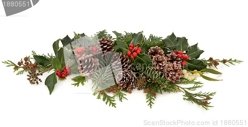 Image of Winter Flora and Fauna