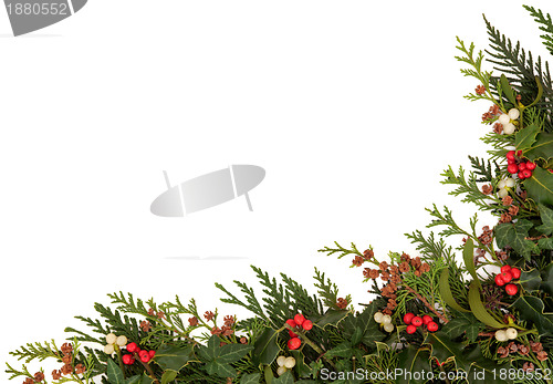 Image of Seasonal Christmas Border