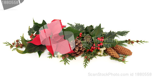 Image of Poinsettia Flower Decoration