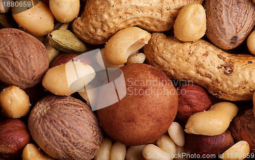 Image of Various Nuts Background