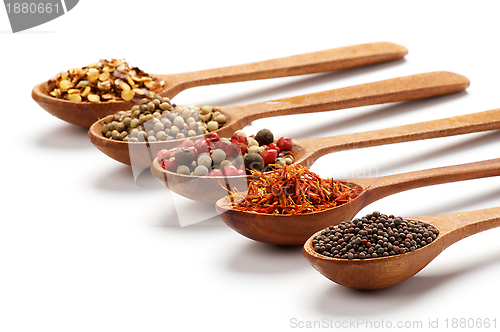 Image of Spices in Spoon