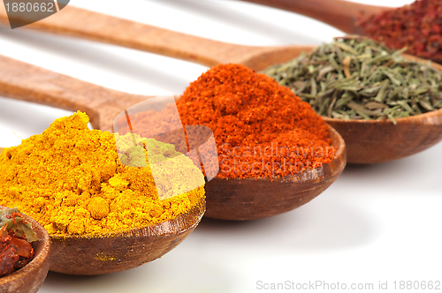 Image of Spices