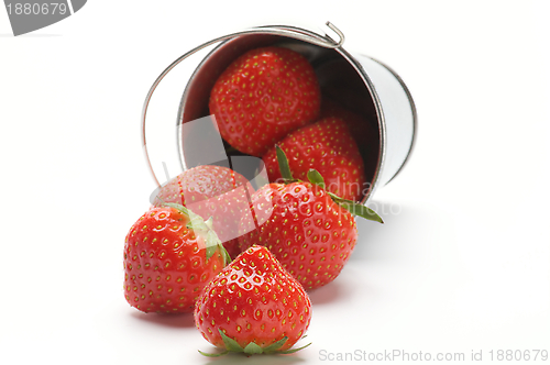 Image of Strawberry Scattered from Bucket