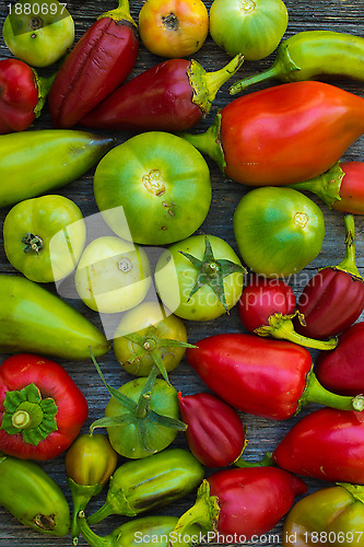 Image of Capsicum and tomato