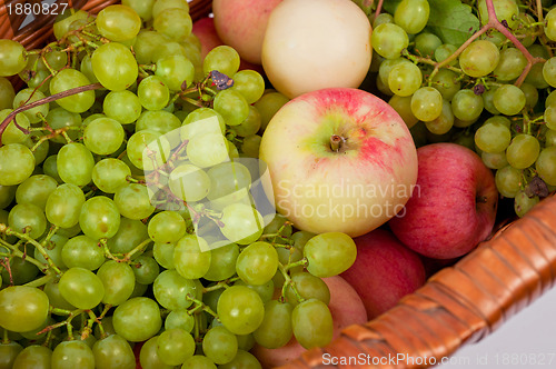 Image of apples and grapes