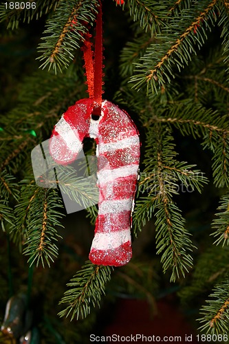 Image of Candy Cane