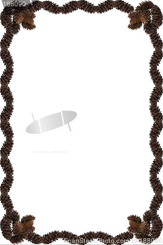 Image of Pinecone Frame