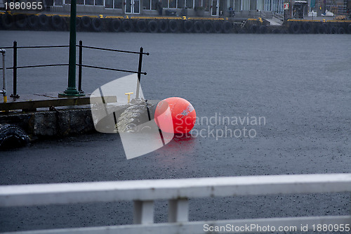 Image of Rainy Harbour