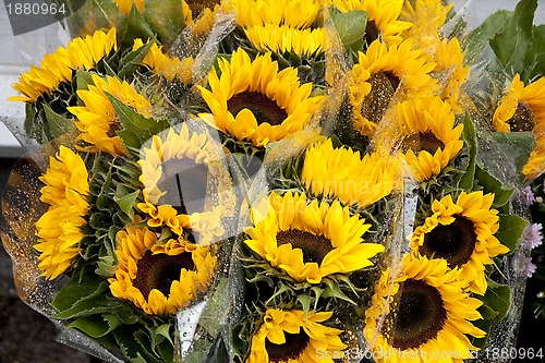 Image of Yellow Flower