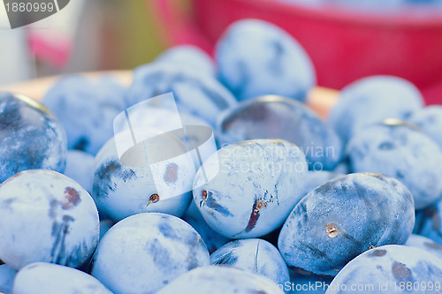 Image of Plums