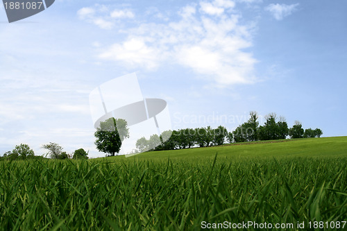 Image of Quiet Spring landscape