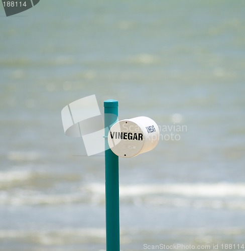 Image of Vinegar on the beach