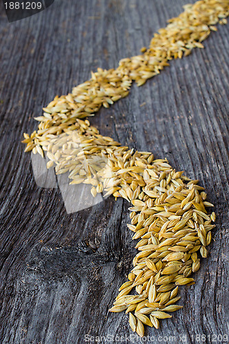 Image of Barley field
