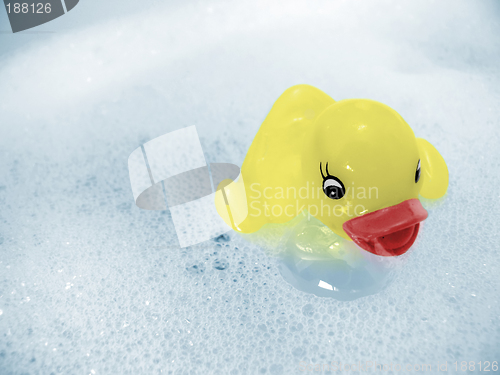 Image of Rubber Ducky Joy!