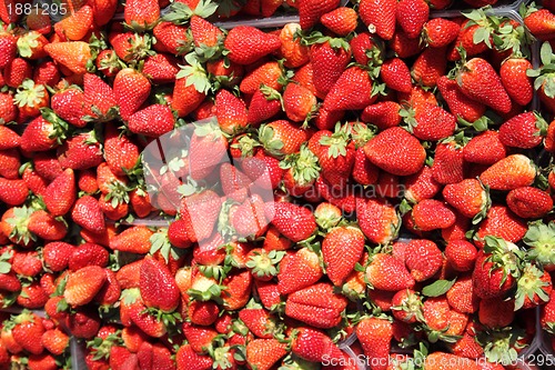 Image of strawberries background