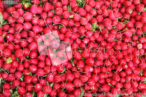Image of radish background 