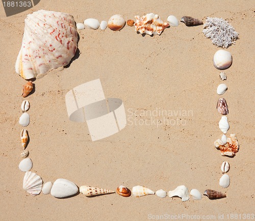 Image of Seashells  picture frame
