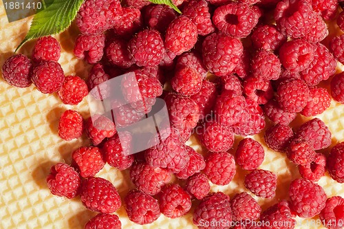 Image of raspberries on crispy gold waffle